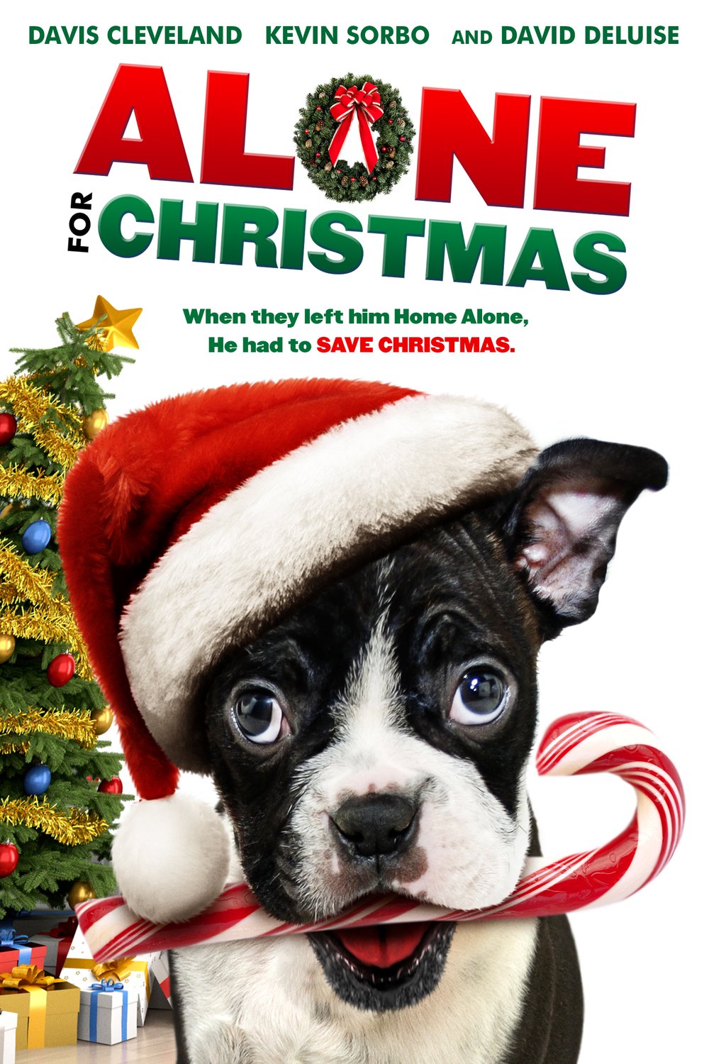 L'affiche du film Alone for Christmas