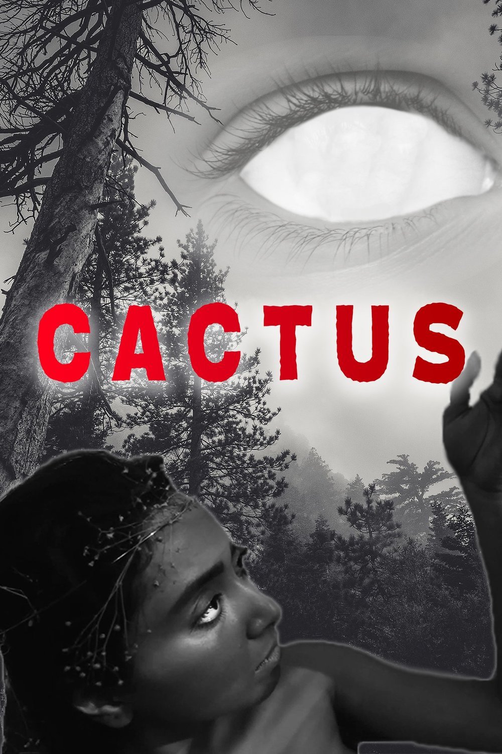 L'affiche du film Cactus