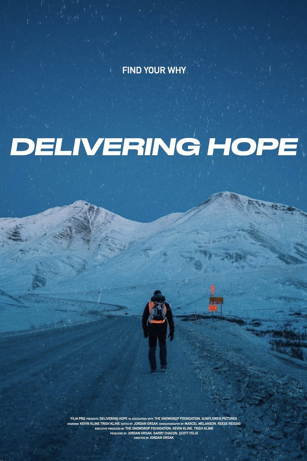 Poster of the movie Delivering Hope [2021]