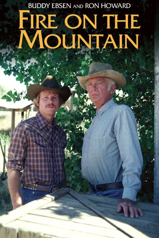 Poster of the movie Fire on the Mountain [1981]