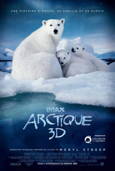 L'affiche du film Arctique