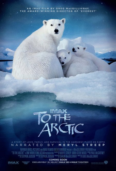 L'affiche du film To the Arctic