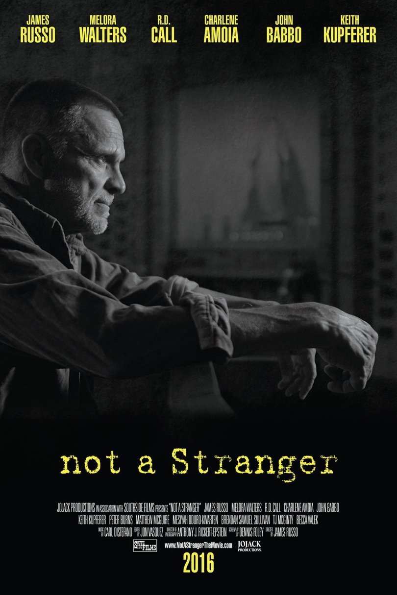 L'affiche du film Not a Stranger [2016]