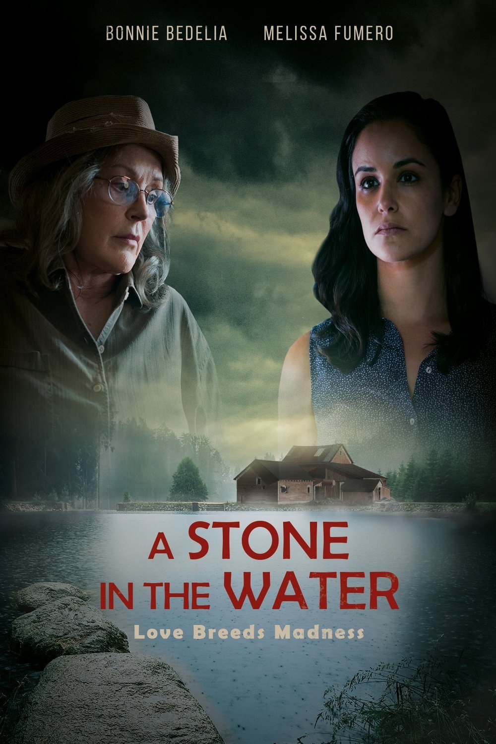 Poster of the movie A Stone in the Water [2019]