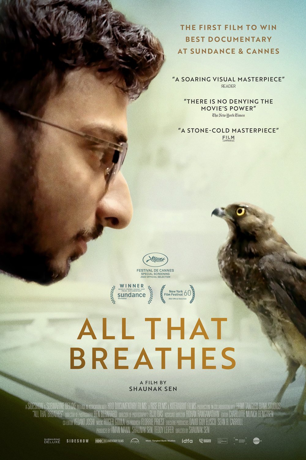 L'affiche originale du film All That Breathes en Hindi