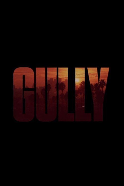 L'affiche du film Gully
