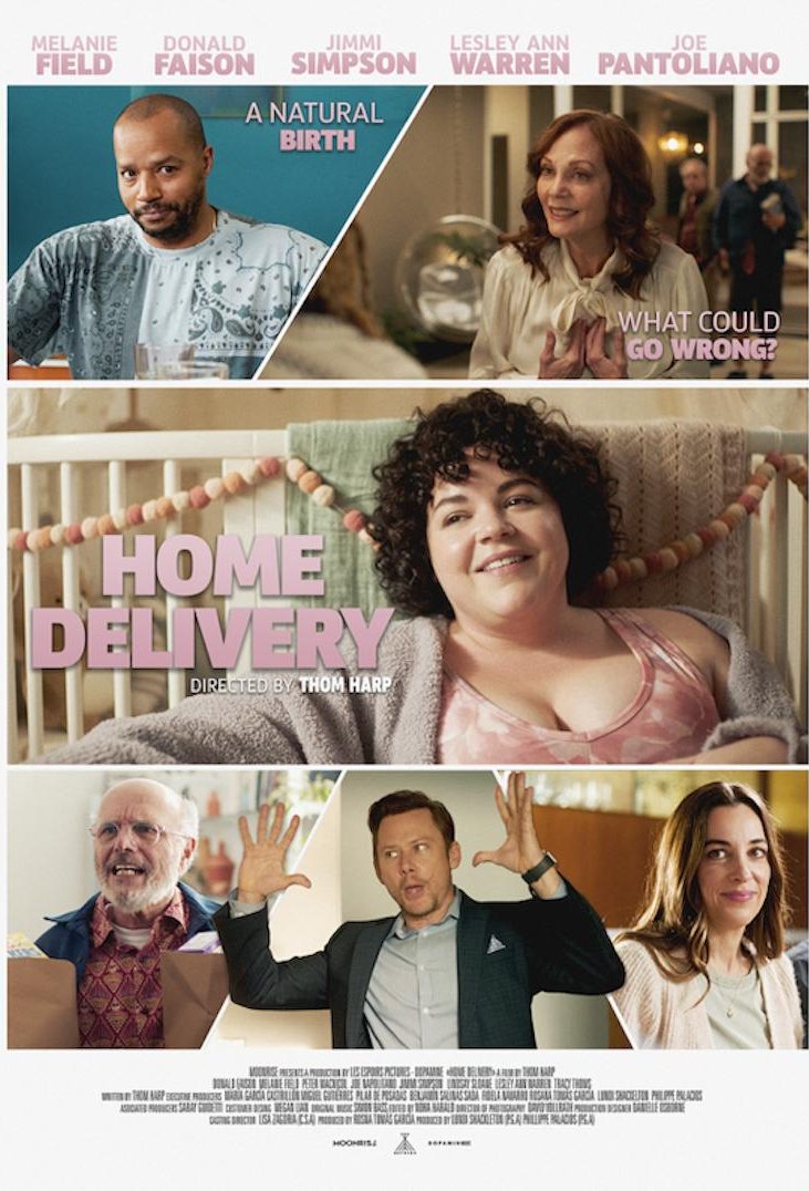 Poster of the movie Home Delivery