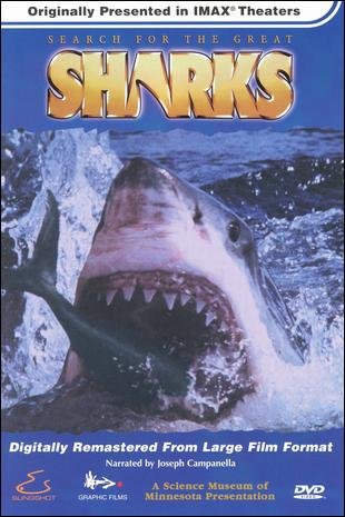L'affiche du film Search for the Great Sharks [1995]