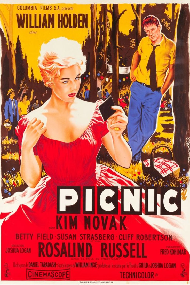 L'affiche du film Picnic