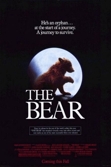 L'affiche du film The Bear