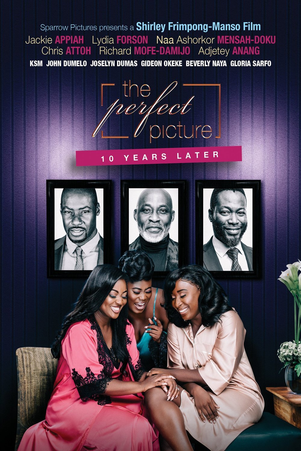 Poster of the movie The Perfect Picture - 10 Years Later [2019]