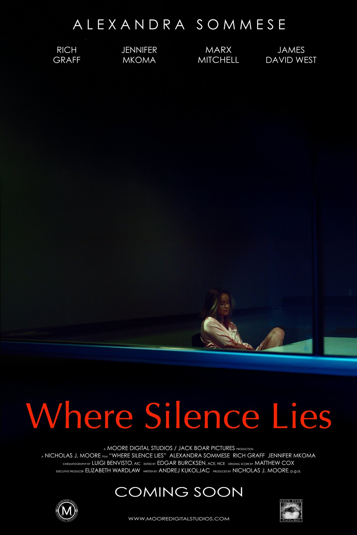 Poster of the movie Where Silence Lies [2025]