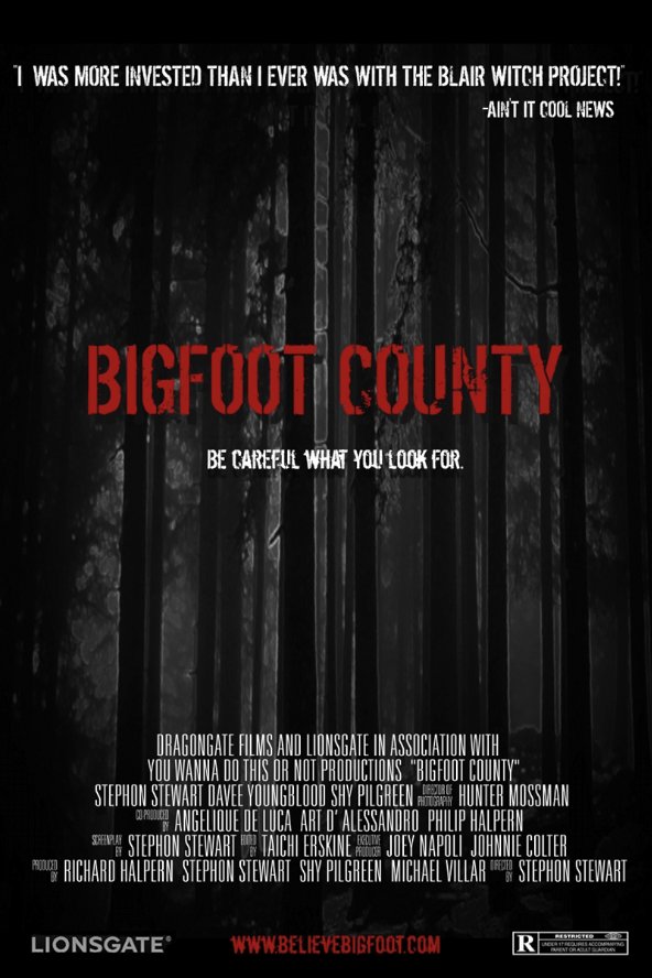Poster of the movie Bigfoot County