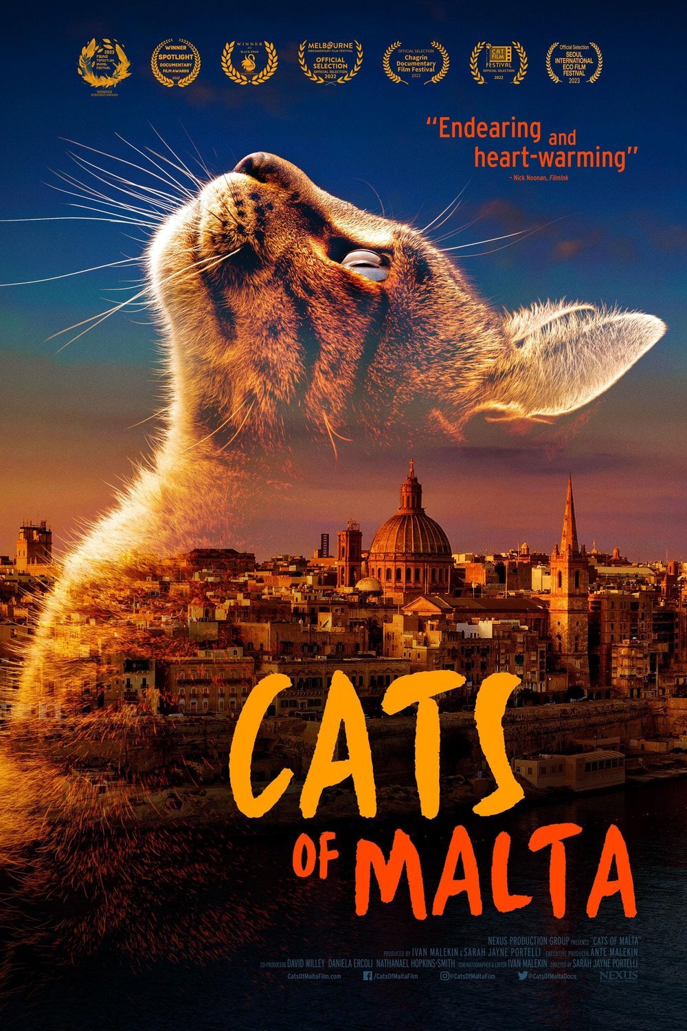 L'affiche du film Cats of Malta [2023]