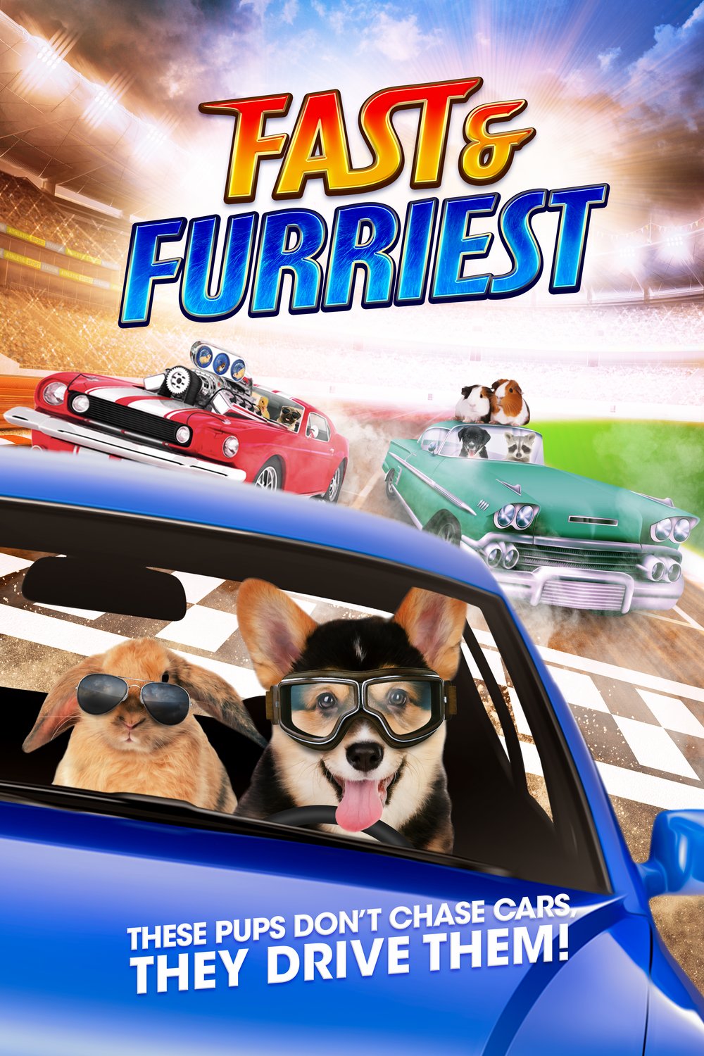 Poster of the movie Fast and Furriest