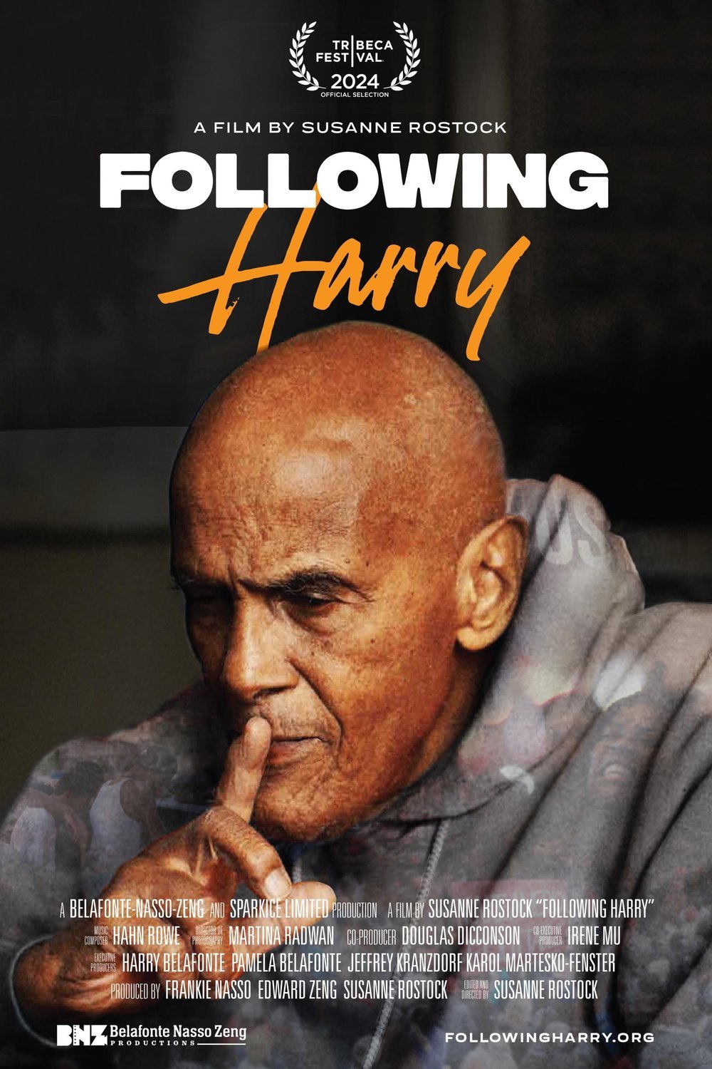 L'affiche du film Following Harry