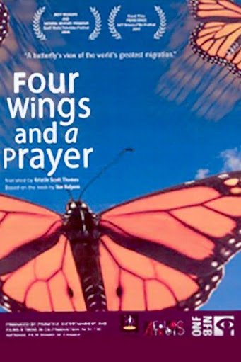Poster of the movie Four Wings and a Prayer