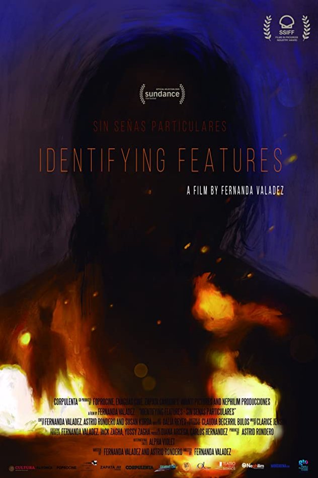 Poster of the movie Identifying Features