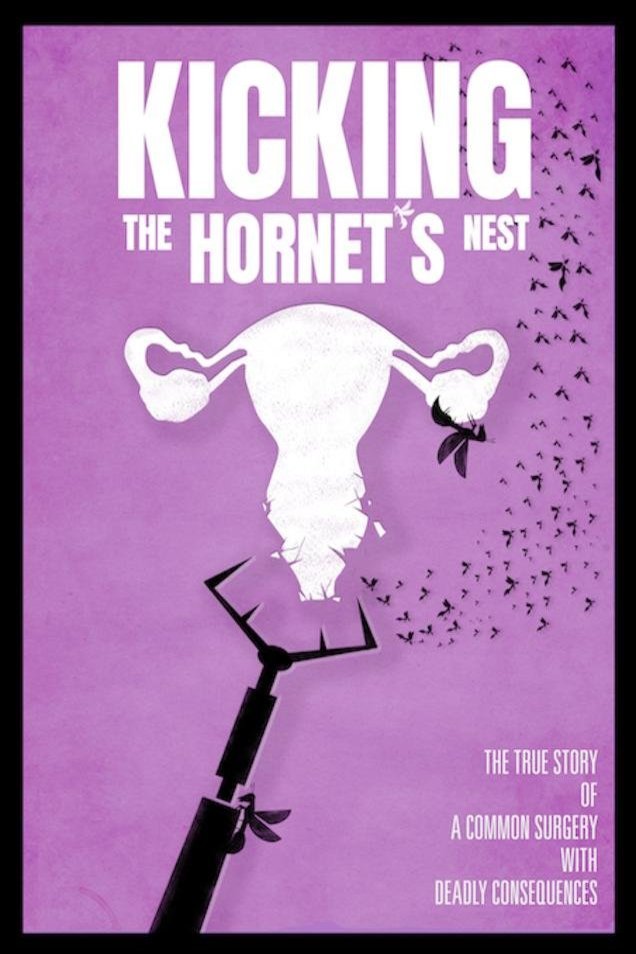 L'affiche du film Kicking the Hornet's Nest