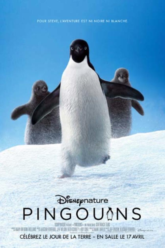 L'affiche du film Pingouins v.f. [2019]