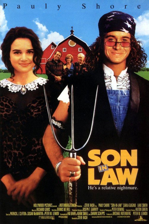 L'affiche du film Son in Law