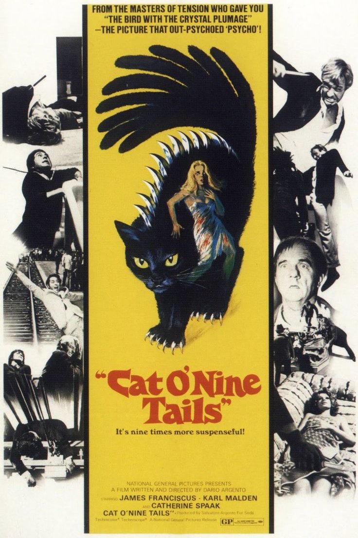 L'affiche du film The Cat o' Nine Tails