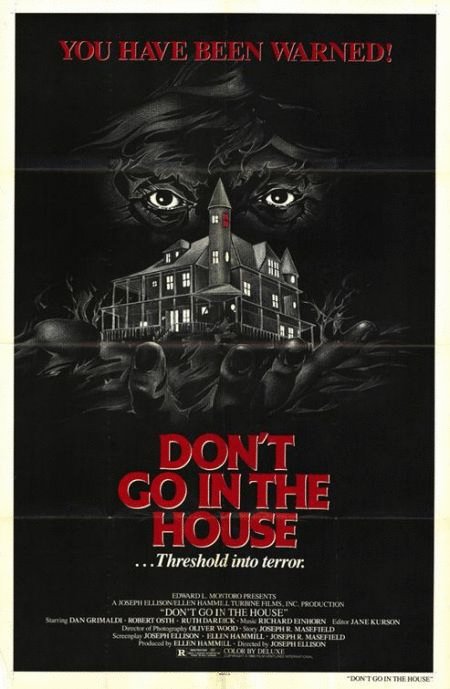 Poster of the movie Don't Go in the House