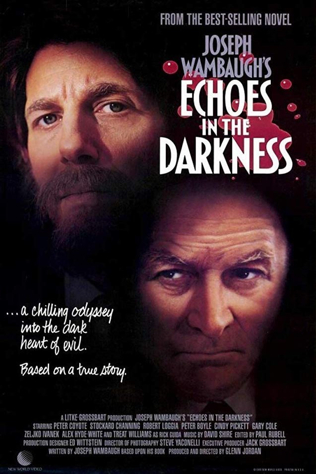 L'affiche du film Echoes in the Darkness
