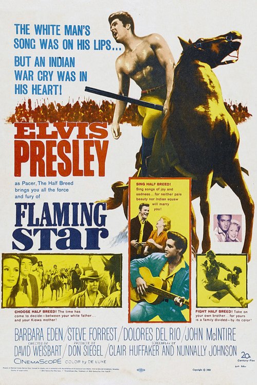 L'affiche du film Flaming Star