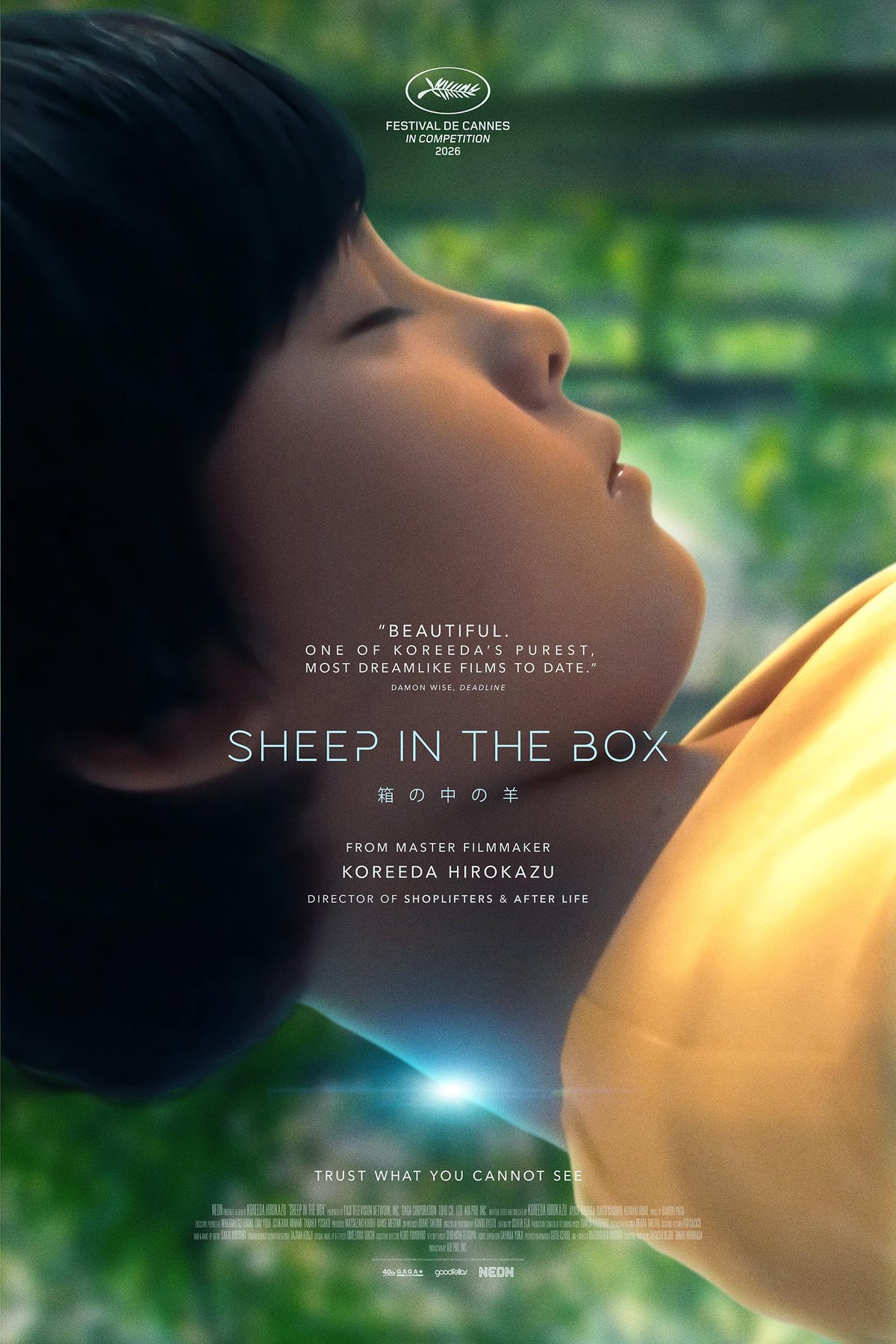 Poster of the movie Sheep in the Box [2026]