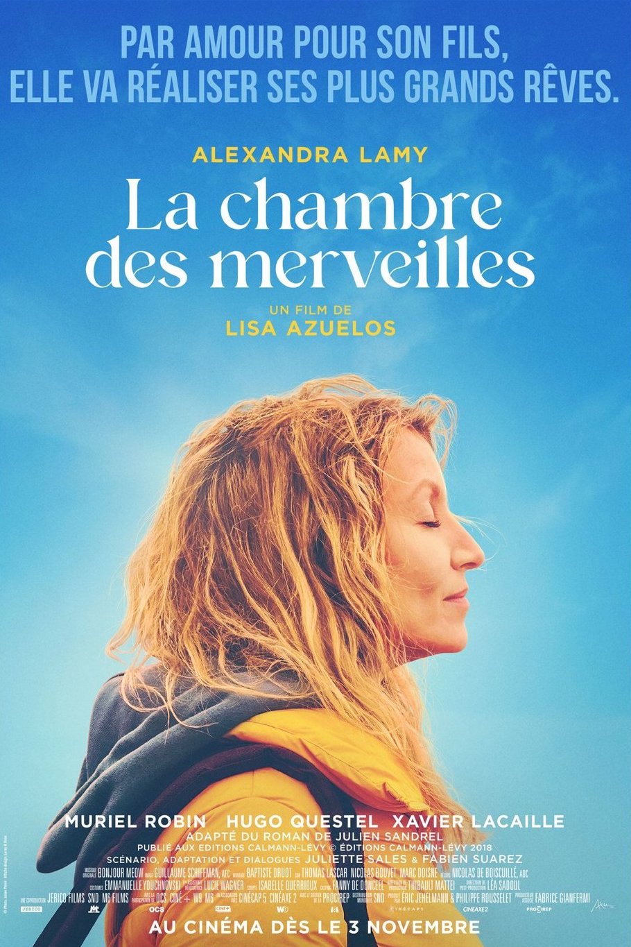 Poster of the movie La chambre des merveilles [2023]