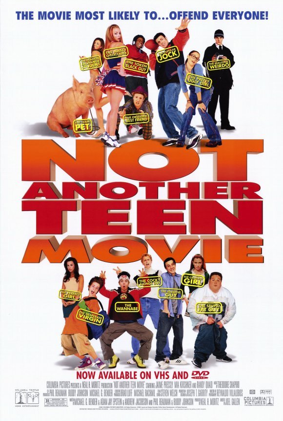 L'affiche du film Not Another Teen Movie