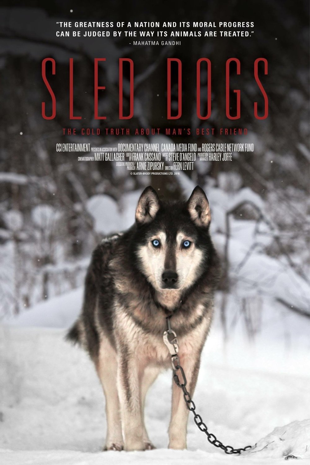 Poster of the movie Sled Dogs