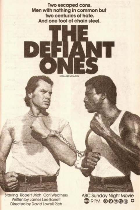Poster of the movie The Defiant Ones