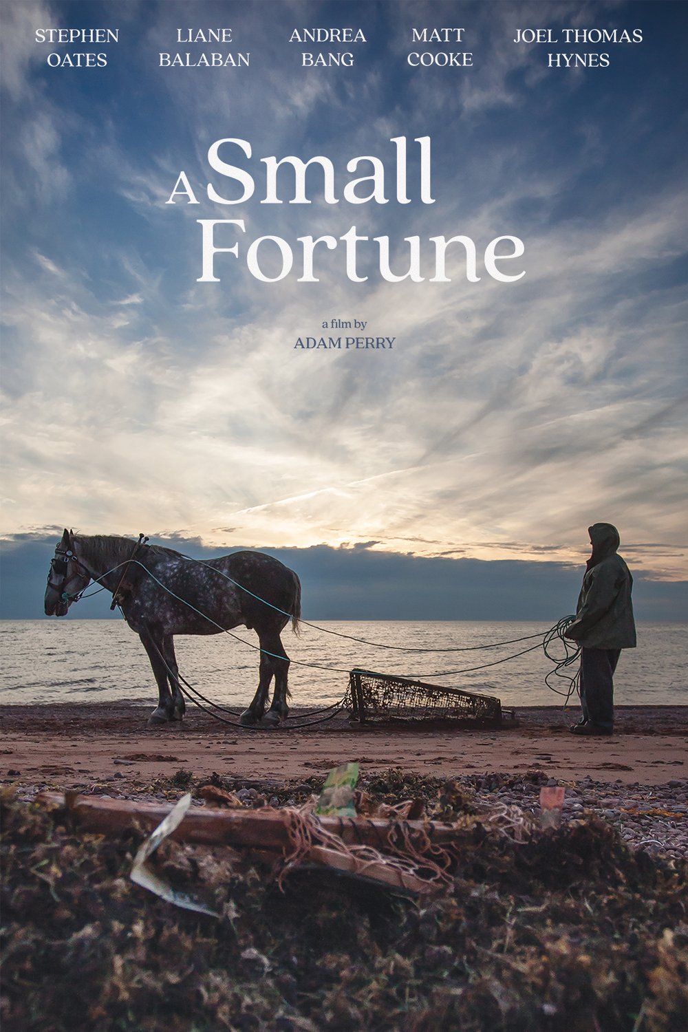 Poster of the movie A Small Fortune [2021]