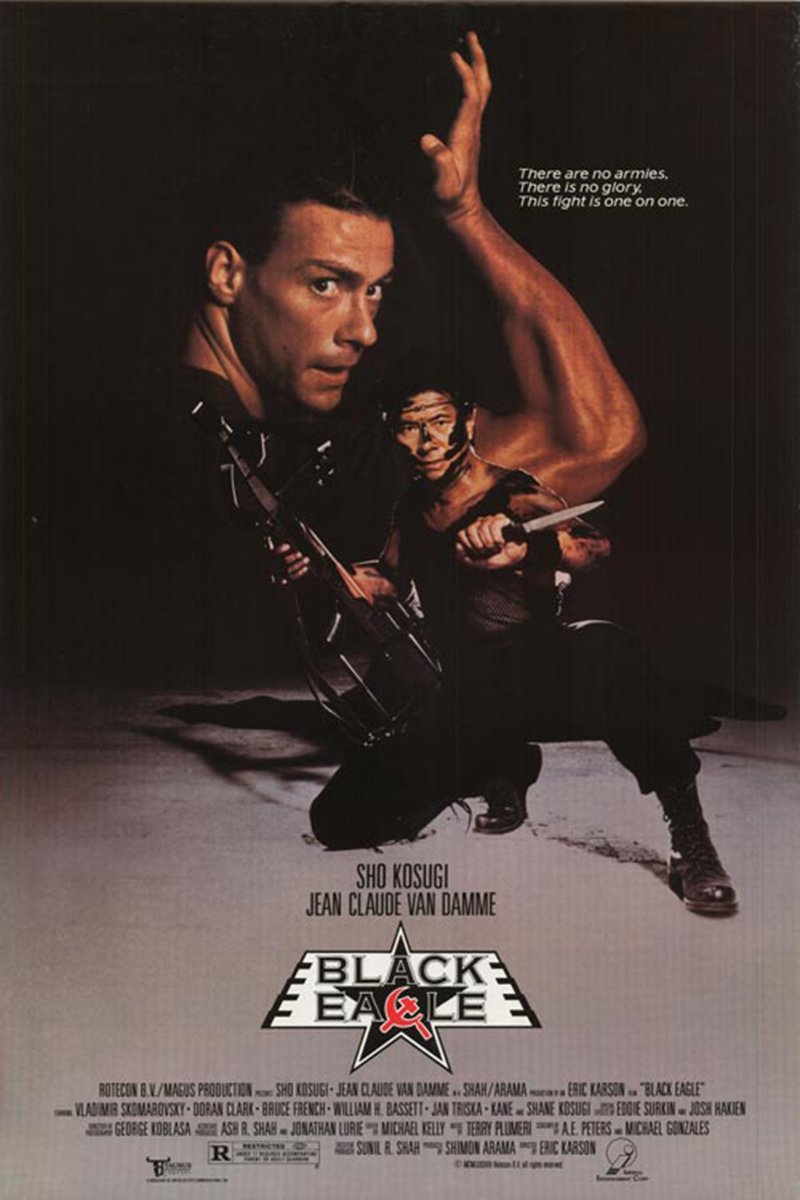 Poster of the movie Black Eagle