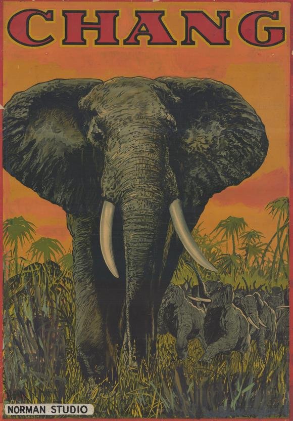 L'affiche du film Chang: A Drama of the Wilderness