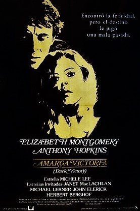 Poster of the movie Dark Victory