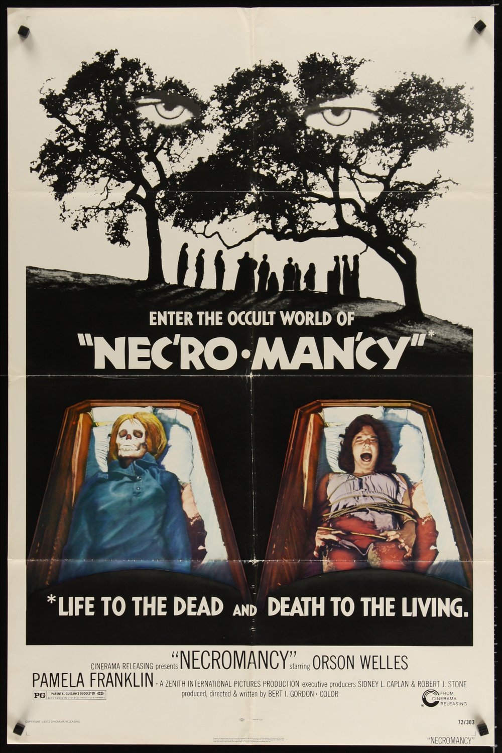 L'affiche du film Necromancy
