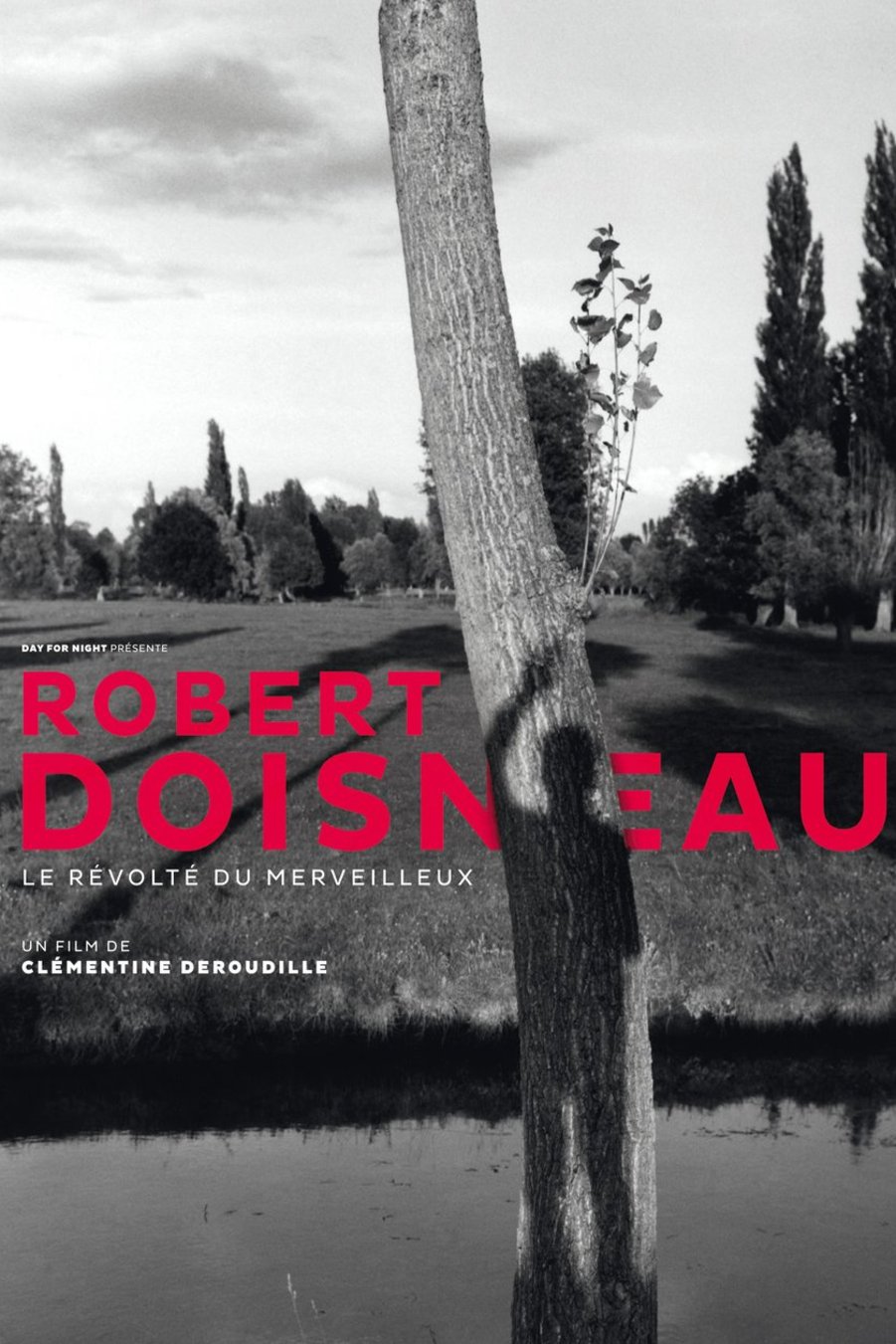 Poster of the movie Robert Doisneau, le révolté du merveilleux