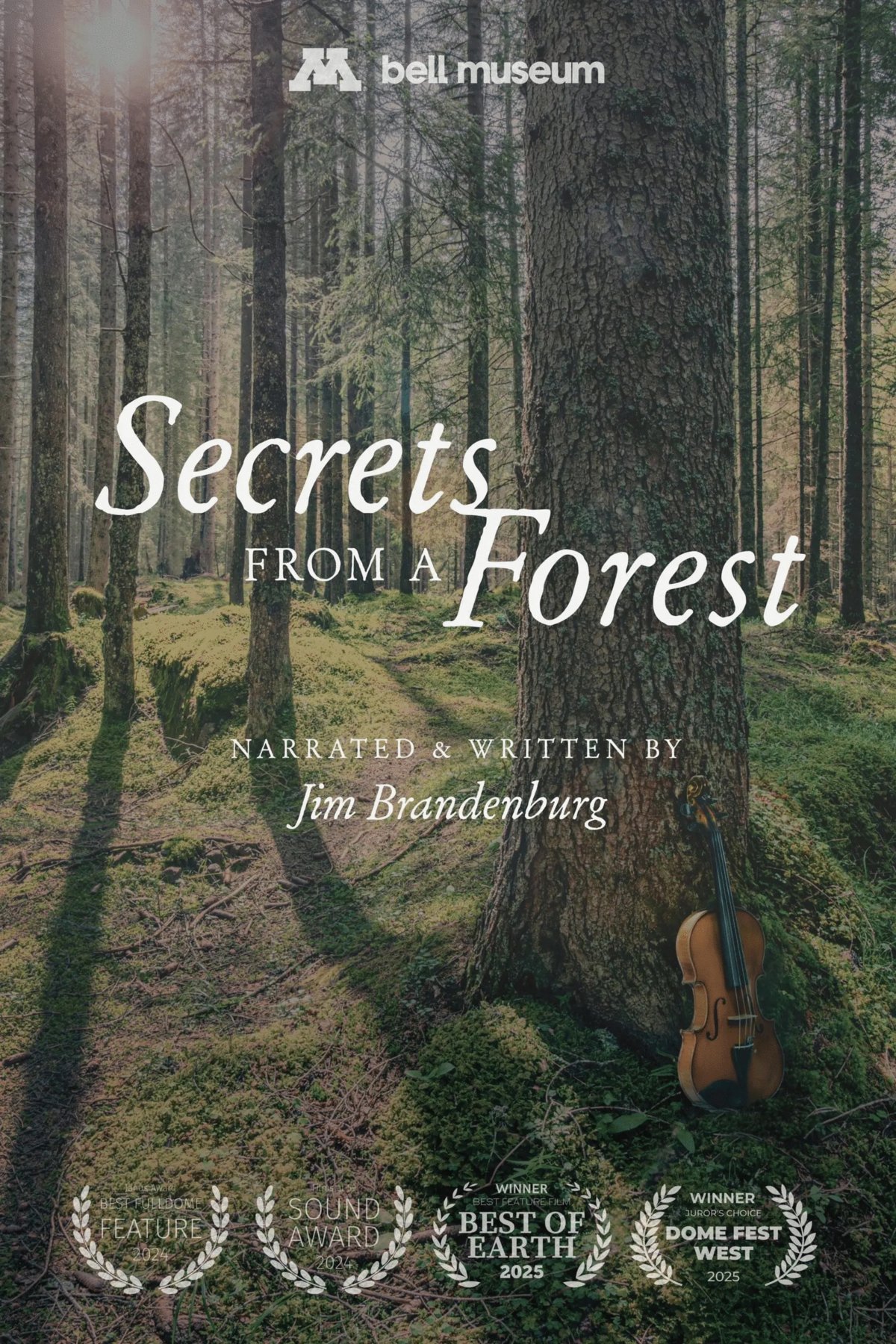 Poster of the movie Secrets from a Forest [2023]