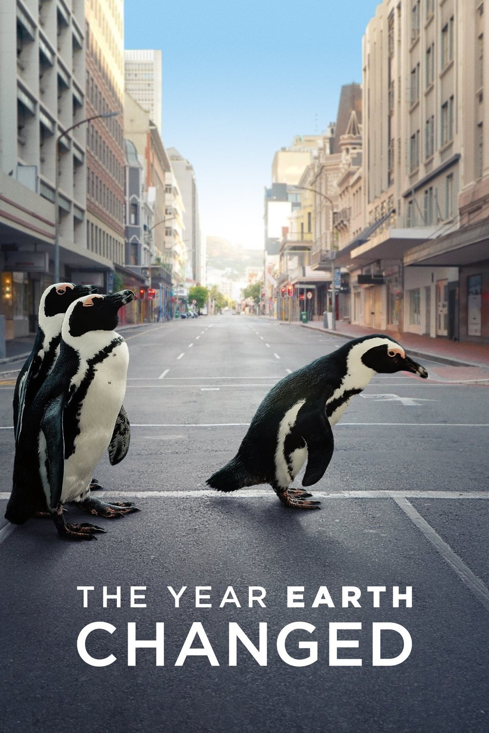 L'affiche du film The Year Earth Changed