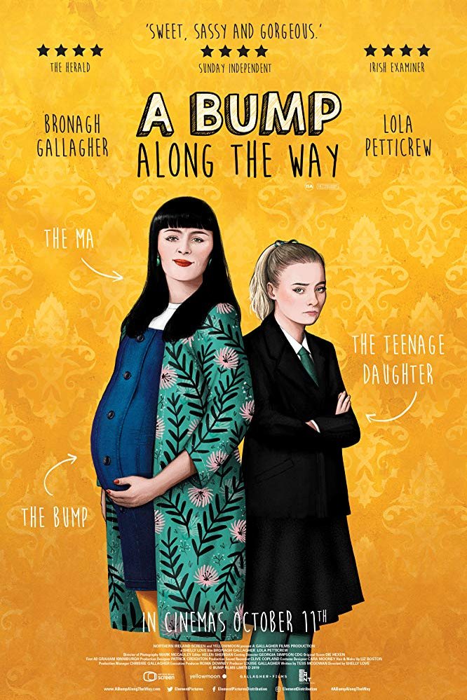 L'affiche du film A Bump Along the Way [2019]