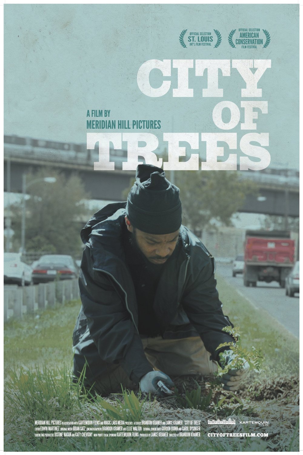 L'affiche du film City of Trees