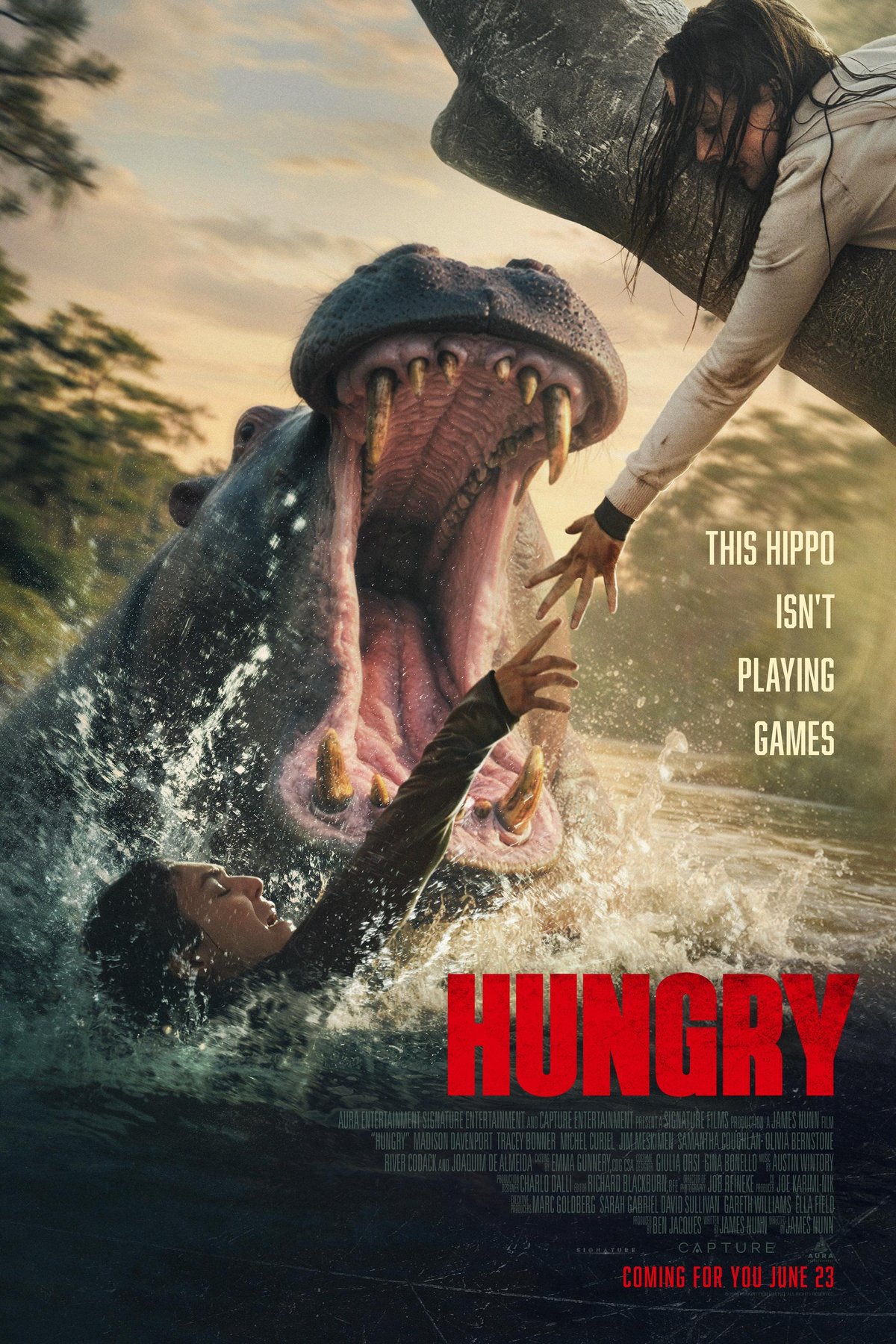 L'affiche du film Hungry [2026]