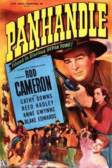 L'affiche du film Panhandle