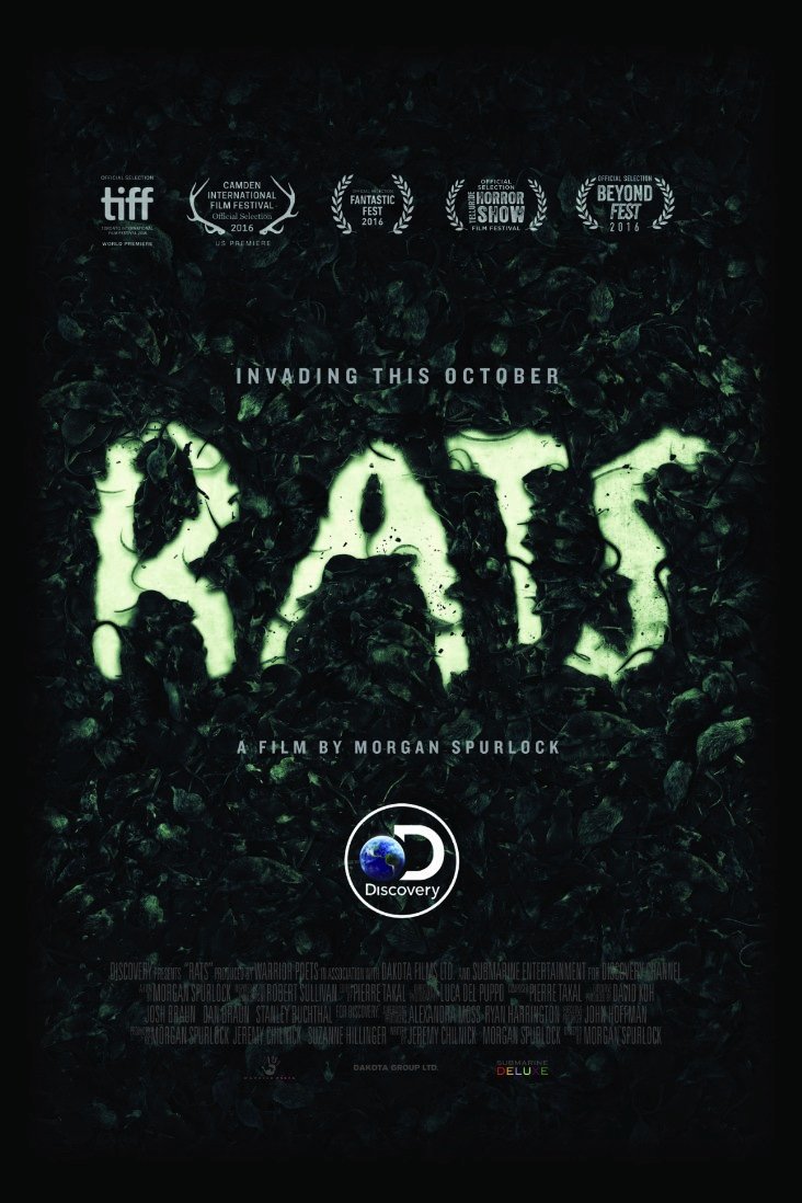 L'affiche du film Rats