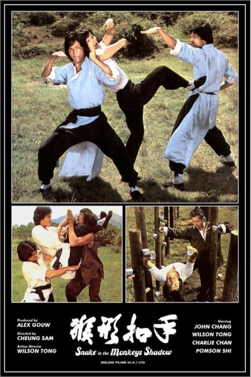 Poster of the movie Snake in the Monkey's Shadow [1979]