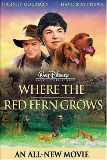L'affiche du film Where the Red Fern Grows