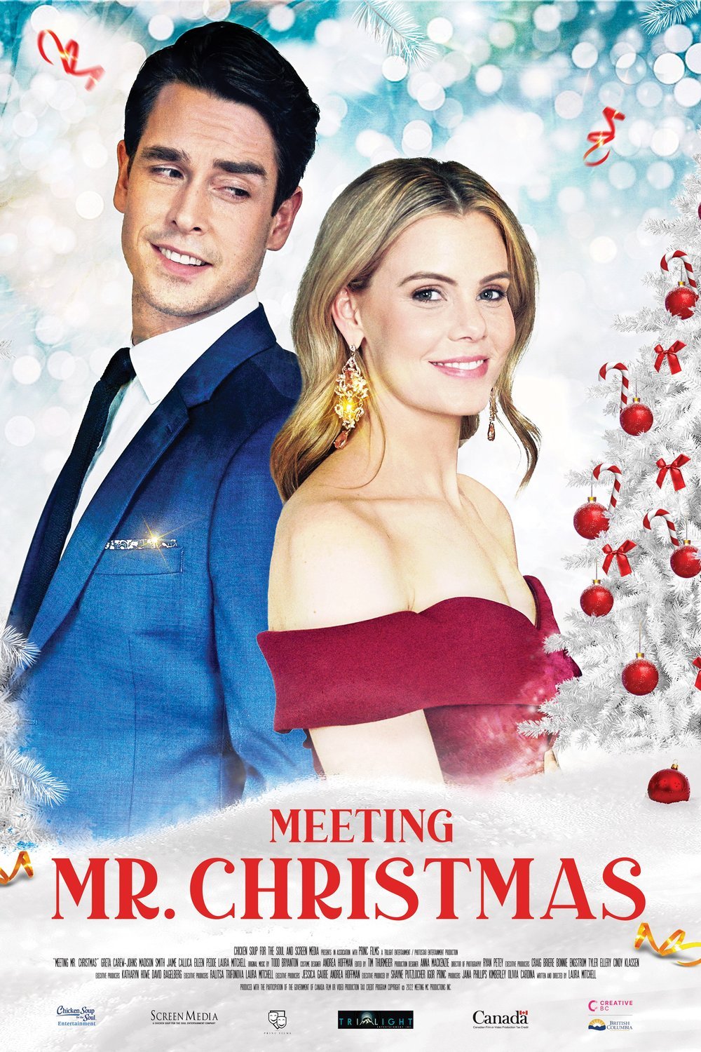 Poster of the movie Meeting Mr. Christmas